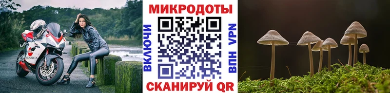 Псилоцибиновые грибы Magic Shrooms  Старый Крым 